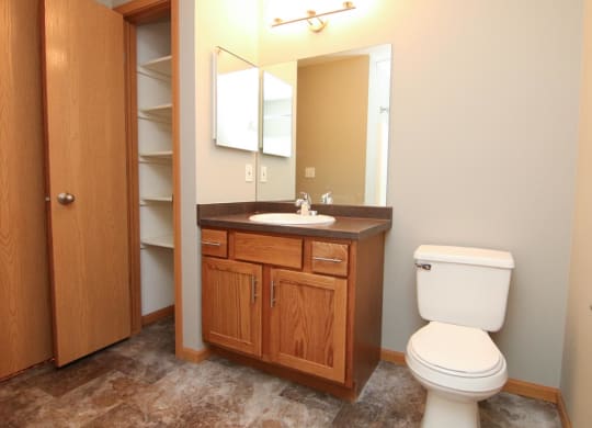 a bathroom with a toilet and a sink and a mirror