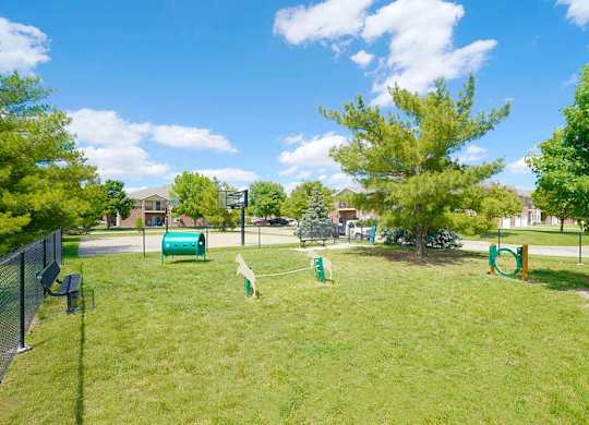 a dog park with agility training equipment and trees