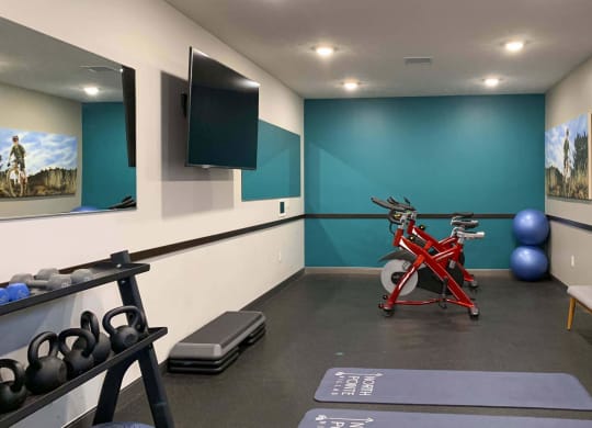 a gym with a red bike and weights on the floor