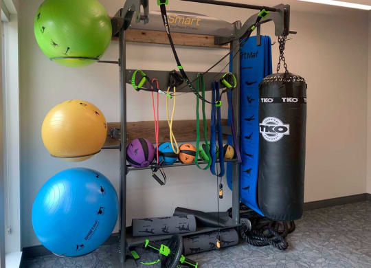 an apartment gym with a punching bag, medicine balls, and yoga balls