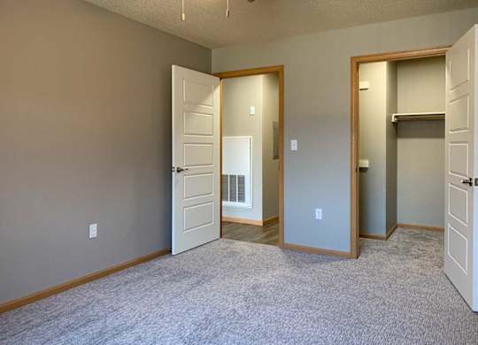 a carpeted bedroom with a walk-in closet