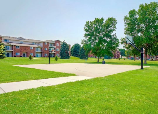 Expansive green lawn with a basketball court and apartments in the background