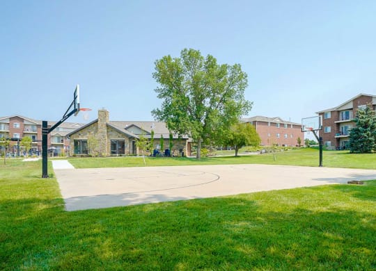 Outdoor basketball court surrounded by a green lawn and trees