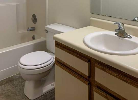 a bathroom with a white vanity sink a mirror and a shower
