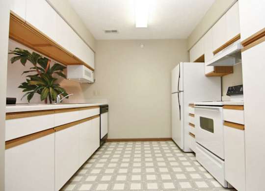 A kitchen with white appliances and a plant on the counter.