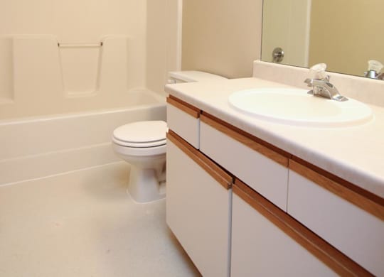 A bathroom with a toilet, sink, and mirror.
