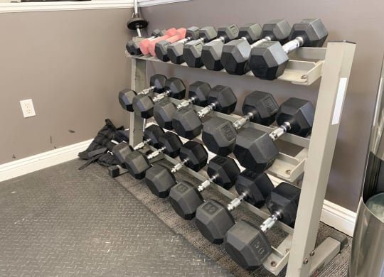 24 hour fitness center with free weights at ridge pointe villas in lincoln nebraska