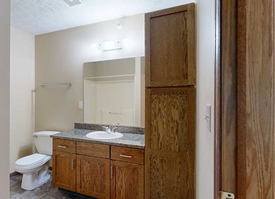 a bathroom with a granite vanity sink and a tall storage cabinet