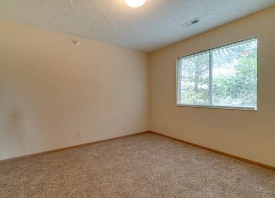 A room with a carpeted floor and a window.
