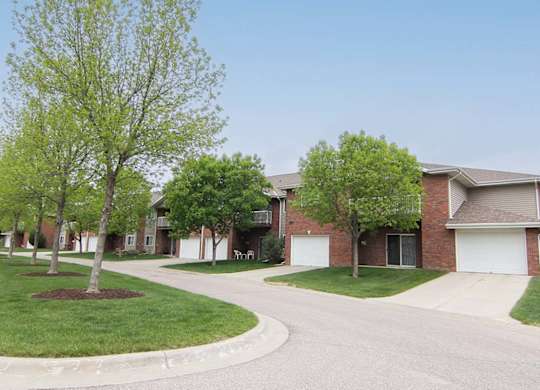 A tree with green leaves stands in a grassy area in front of a house.