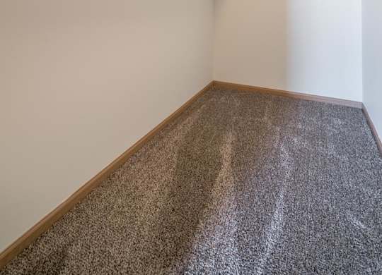 A room with a carpeted floor and a white wall.
