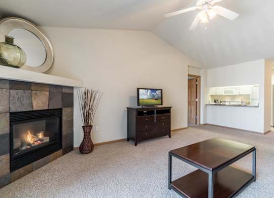 A living room with a fireplace and a television.