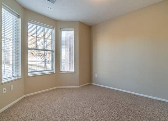 A bedroom with carpeted floor and two windows.