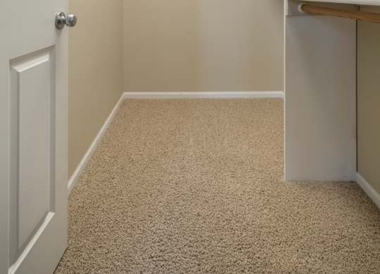 A white door is on the left of a hallway with a carpeted floor.
