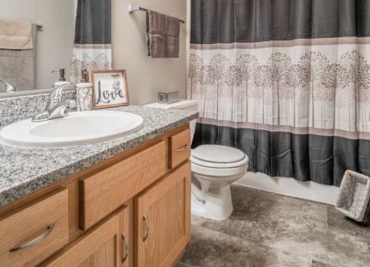 A bathroom with a sink, toilet, and shower curtain.