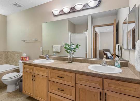 A bathroom with a white toilet and dual sinks
