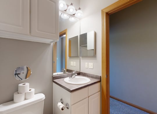 a bathroom with a sink toilet and mirror with cabinet storage