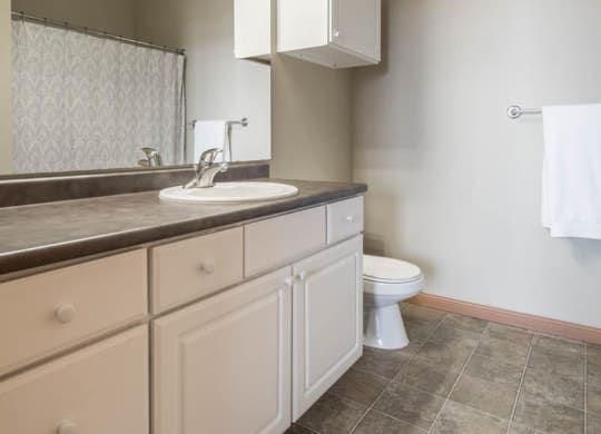 a bathroom with a sink toilet and a mirror