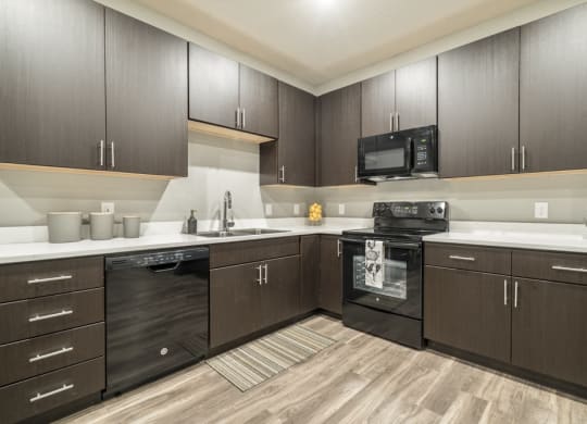 Traditional design kitchen with dark cabinetry, quartz countertops in Blackstone District Omaha