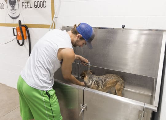 Pet-wash station at The Conrad near UNMC in the Blackstone District Omaha NE 68105