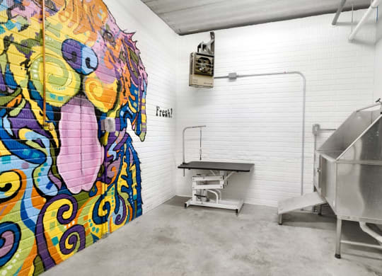 Indoor wash station for dogs, with one wall decorated with a  colorful mural