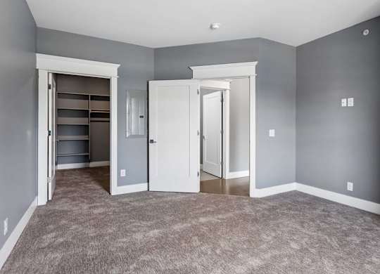 Gray-walled apartment bedroom pairs plush carpeting with crisp white trim and an open walk-in closet featuring built-in shelving.
