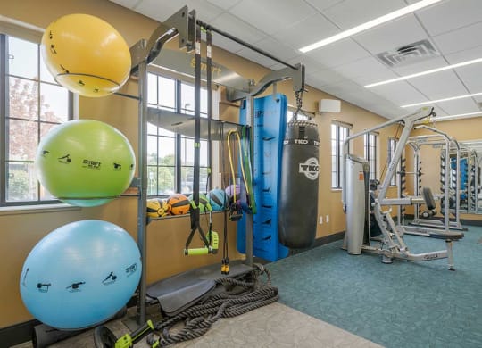 a fitness center with yoga and pilates exercise equipment