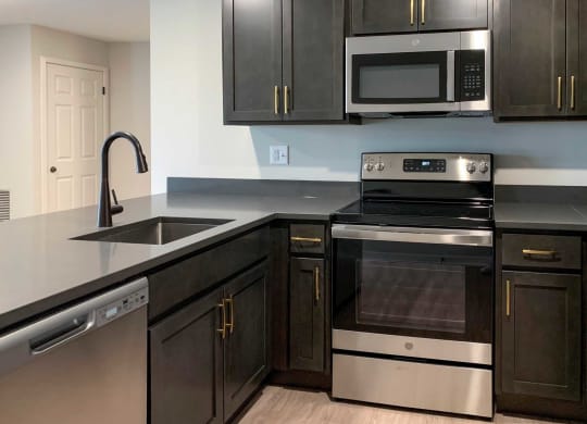 a kitchen with dark cabinets and stainless steel appliances