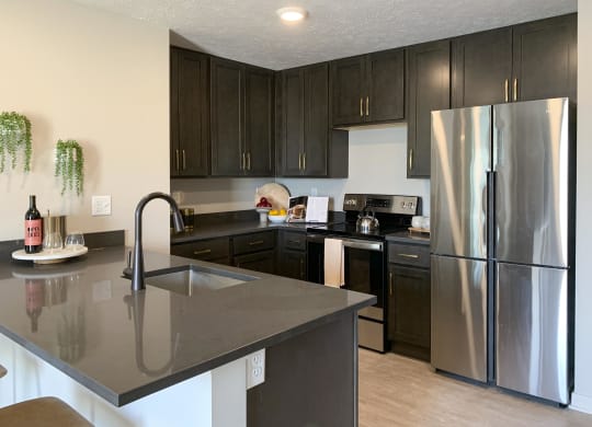 a kitchen with black cabinets and stainless steel appliances