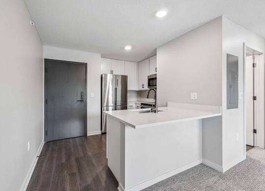 Apartment kitchen with peninsula seating, stainless steel appliances, and dark wood-style flooring.
