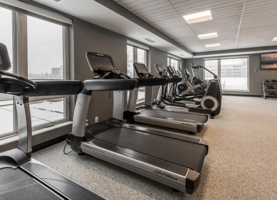 Line of treadmills at The Preserve's expansive fitness center