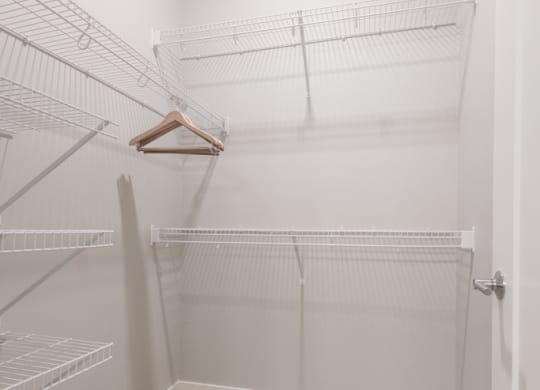 Interiors- Walk in closet at The Preserve at Normandale Lake in Bloomington, MN