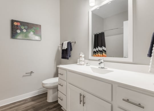Interiors- Bathroom with white cabinets and white, cultured-marble countertops at The Preserve at Normandale Lake