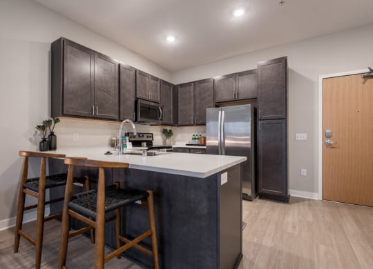 Interiors- Design Scheme B kitchen with darker cabinets and white quartz countertops
