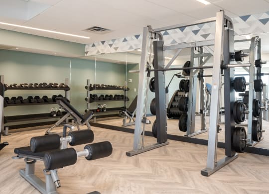 Community gym with a variety of workout and fitness equipment at The Rowan