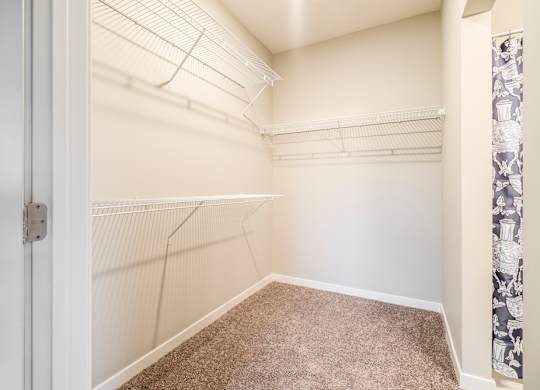 A white closet with a carpeted floor and a door.