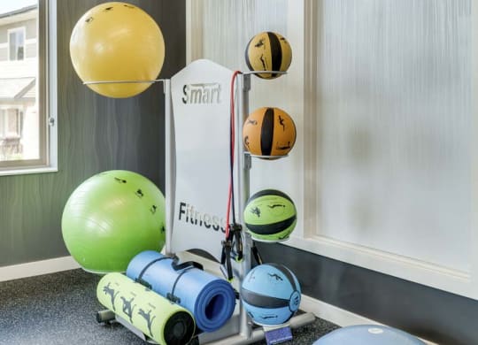 Medicine balls and yoga mats at The Villas at Falling Waters townhomes in West Omaha