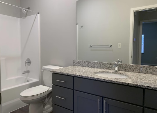 Bathroom with slate gray vanity and linen cabinet for storage and large mirror