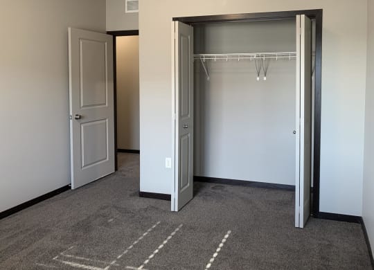 carpeted bedroom with spacious closet