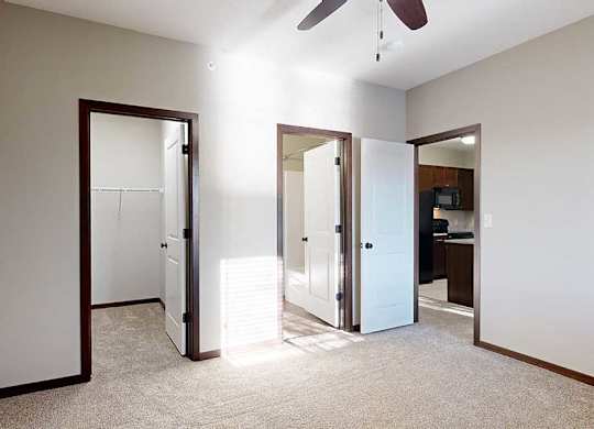 a bedroom with a walk-in closet and attached bathroom