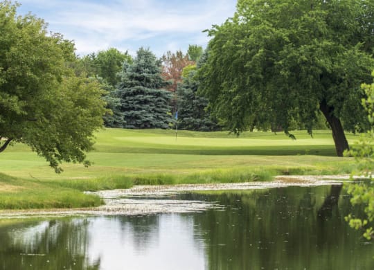 landscape with pond and lush green trees
