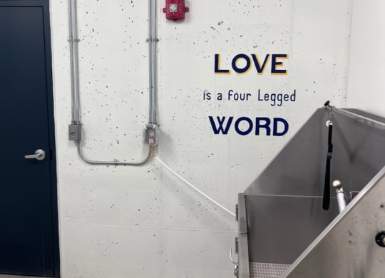A wall with the words love is a four legged word and the dog wash station at WH Flats apartments in Lincoln, NE