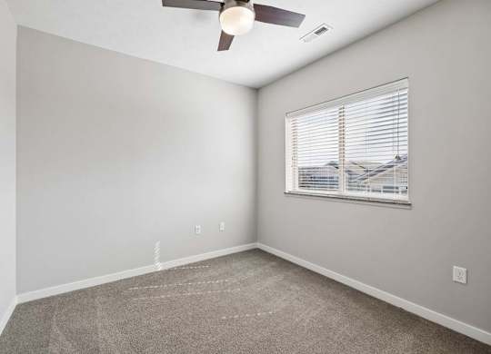 Bright apartment bedroom with carpeted flooring, a ceiling fan, neutral walls, and a window with blinds providing natural light.