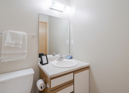 a bathroom with a toilet, sink, and a mirror