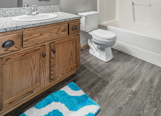 Bathroom with granite and hardwood-style floors at Williamsburg Park Apartments in south Lincoln NE 68516