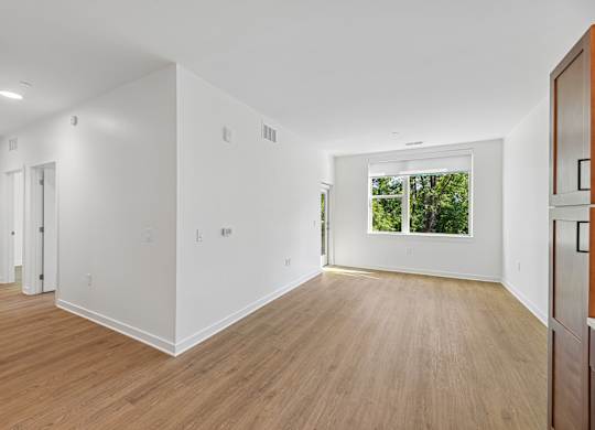 A room with white walls and wooden flooring.