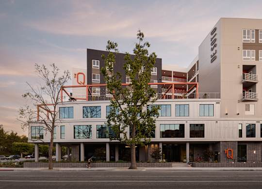 A modern building with a tree in front of it.