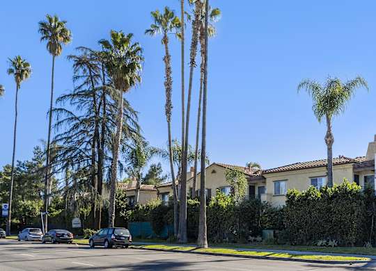A row of palm trees in front of a house.