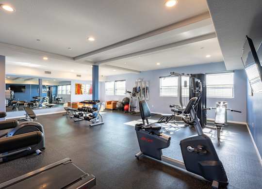 A spacious gym with a variety of equipment.