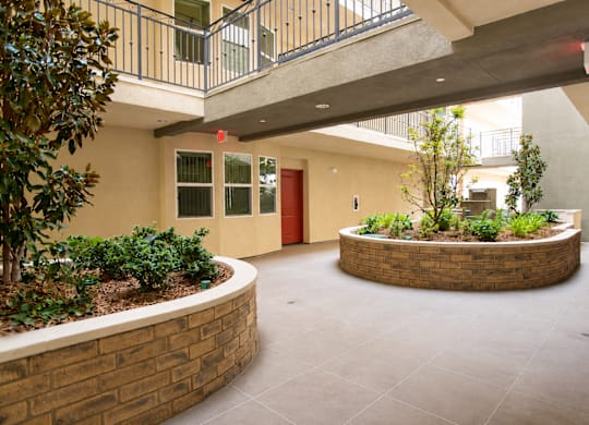 A courtyard with a circular planter in the middle.